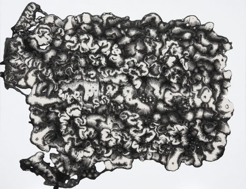 Météorite – 165 cm x 130 cm